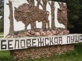 Подорожавшие здравницы Белоруссии российские туристы раскупили до конца лета