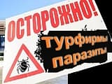 Российский турбизнес объявили «паразитным» и «неблагородным»