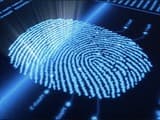 Введение дактилоскопии для российских туристов снизит турпоток в страны Шенгена в 2 раза