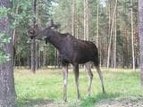 Российские туристы скупают туры на отдых в Белоруссии