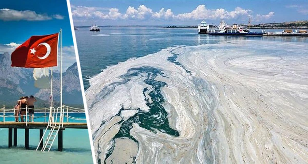 Курортам Турции начала угрожать «морская слюна»