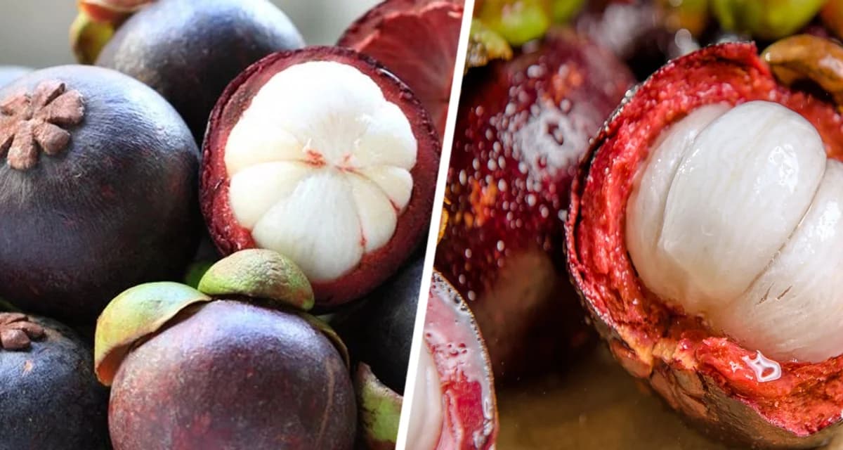 Отправляемся за фруктами в Нячанге: Мангустин – фруктовая королева с нежным характером