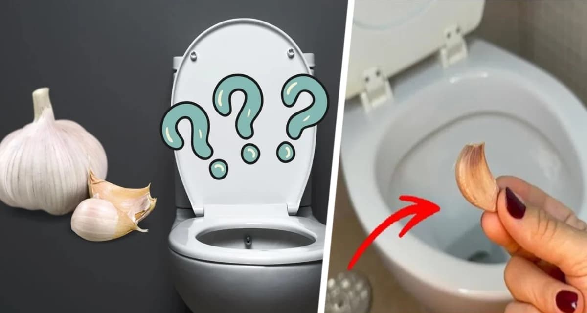 Зачем некоторые люди кидают зубчик чеснока в унитаз?