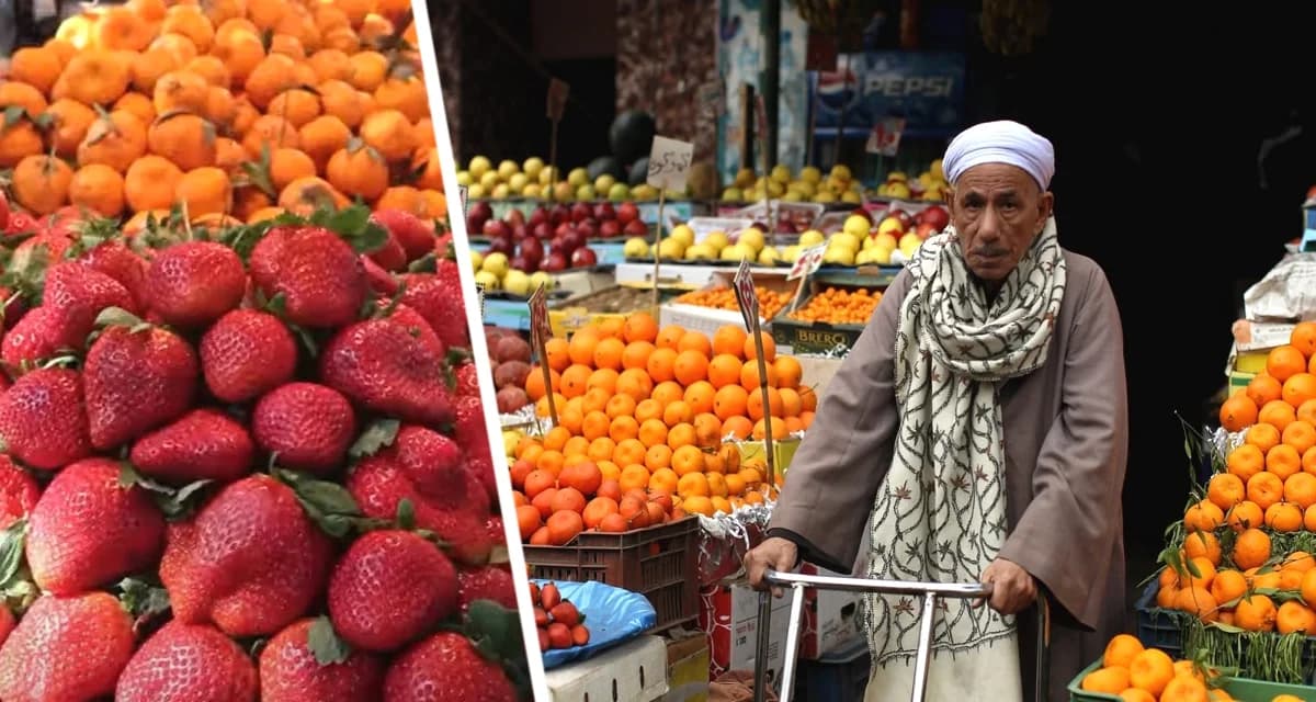 Египетский фруктовый рай: 10 фруктов, которые надо попробовать российскому туристу в Египте, и когда у них сезон