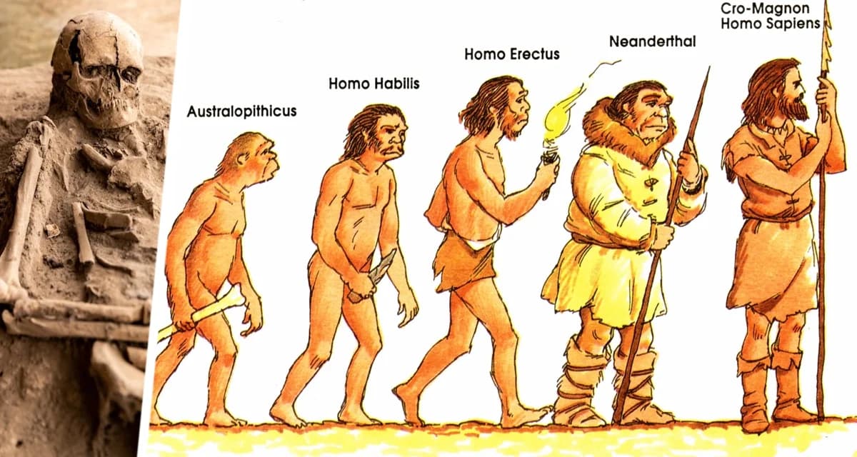 Археологи обнаружили ДНК исчезнувшего вида людей, жившего в Африке на юг от Сахары