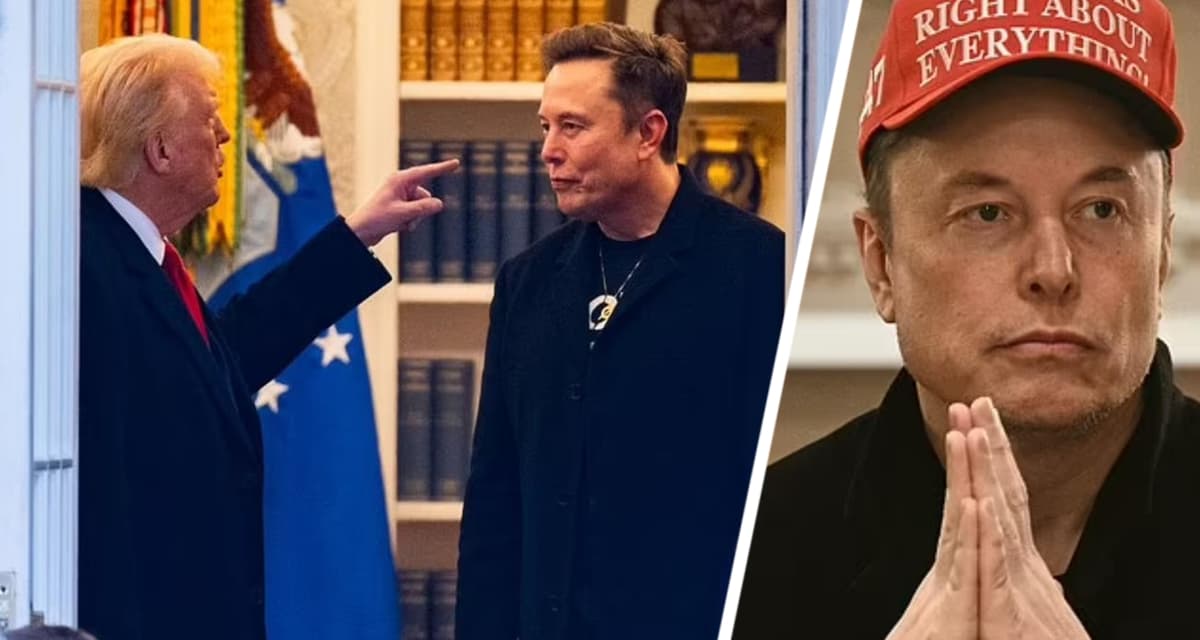 Внутри MAGA начинается война: Илон Маск раскритиковал «дебильного» торгового советника Трампа, сказав, что тот «тупее мешка с картошкой»