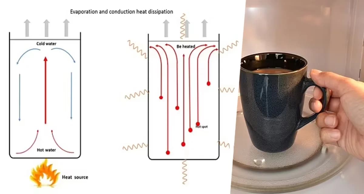Ученые рассказали, почему нельзя разогревать чай в микроволновке