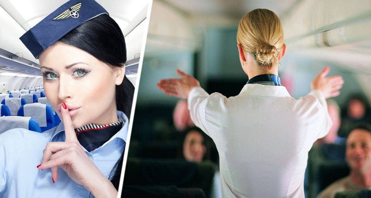 Как получить в самолете 5 бесплатных вещей? Не многие туристы о них знают