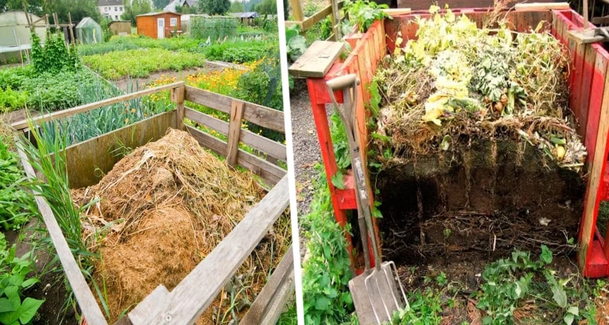 Всем садоводам России, у которых есть компостные кучи, рекомендуется сделать 5 вещей в июне