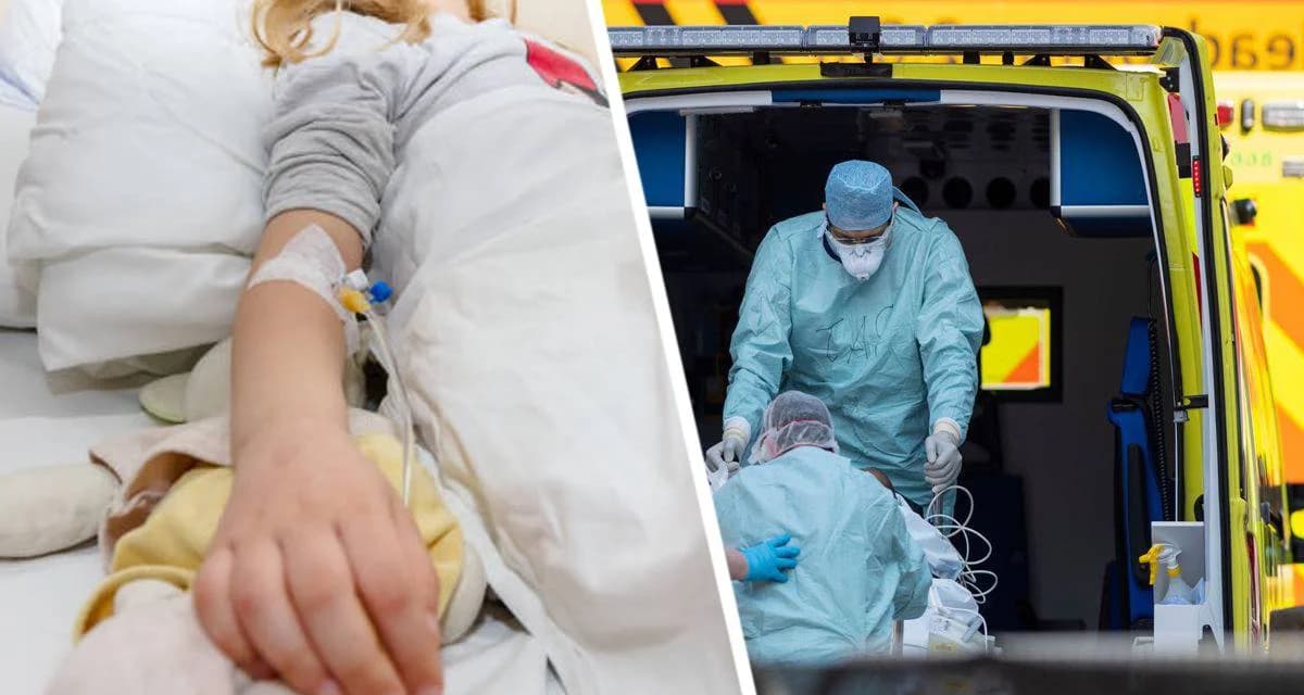 Туристка чуть не умерла, подобрав ракушку на пляже: отдыхающим посоветовали быть бдительней