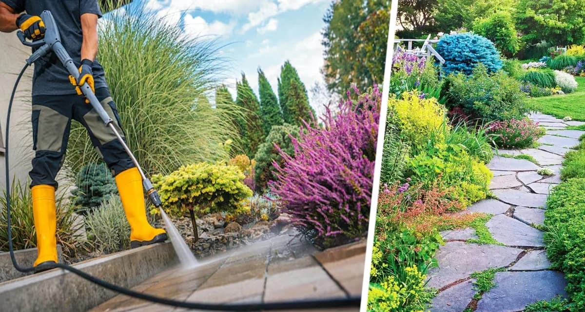 Садовые дорожки на даче будут сверкать чистотой без всякой минимойки: используйте этот ингредиент, который у вас наверняка уже есть