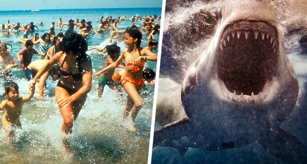 Ужас на курорте: туристка выбежала из воды с окровавленной ногой, пляжи закрыли из-за неизвестного морского монстра