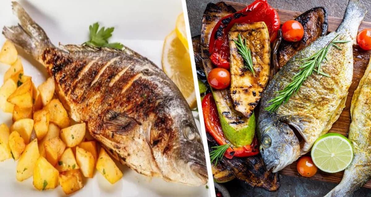 Горбуша, сёмга, кета, нерка, кижуч, чавыча или форель, какую выбрать? Открываем идеальный вкус и блюда из этой рыбы