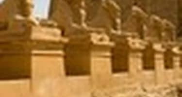 В Луксоре откроют аллею сфинксов В Луксоре откроют аллею сфинксов