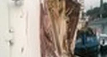 На Иртыше аварию потерпел экскурсионный теплоход, четыре туриста погибли На Иртыше аварию потерпел экскурсионный теплоход, четыре туриста погибли