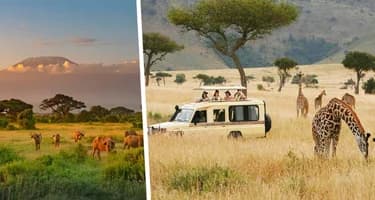 Число туристов, погибающих во время сафари, растёт: в этом винят искусственный интеллект и соцсети Число туристов, погибающих во время сафари, растёт: в этом винят искусственный интеллект и соцсети