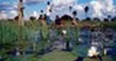 Ботсвана просит придать Дельте Окаванго статус мирового наследия ЮНЕСКО Ботсвана просит придать Дельте Окаванго статус мирового наследия ЮНЕСКО