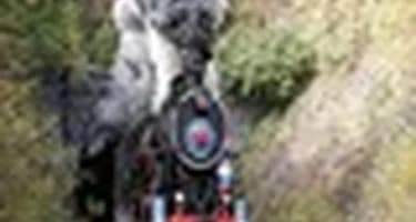 На Кругобайкальской железной дороге восстановят движение ретропоезда На Кругобайкальской железной дороге восстановят движение ретропоезда