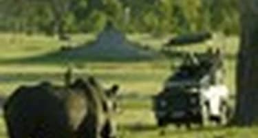 В первом полугодии въездной турпоток в Зимбабве вырос на 12% В первом полугодии въездной турпоток в Зимбабве вырос на 12%