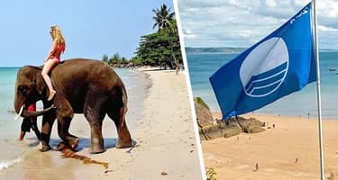 Прогулка по пляжам Гоа: умиротворение и экзотика – открываем для себя Палолем Прогулка по пляжам Гоа: умиротворение и экзотика – открываем для себя Палолем