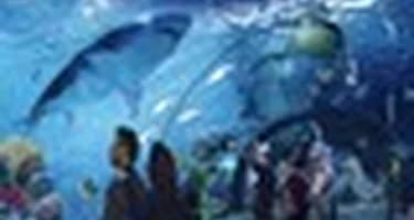 «Поэму о море» создадут на острове Гран Канария «Поэму о море» создадут на острове Гран Канария