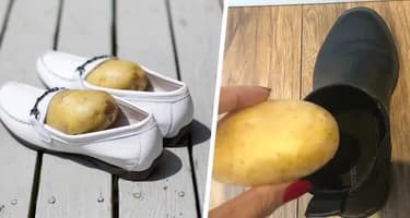 Вот почему некоторые люди кладут картофелину в ботинок Вот почему некоторые люди кладут картофелину в ботинок