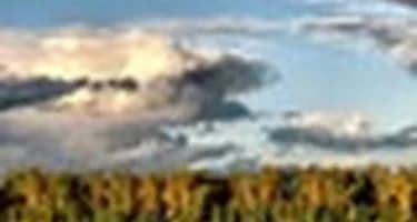 «Василия Чапаева» пустят в круиз по Вятке «Василия Чапаева» пустят в круиз по Вятке