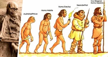 Археологи обнаружили ДНК исчезнувшего вида людей, жившего в Африке на юг от Сахары Археологи обнаружили ДНК исчезнувшего вида людей, жившего в Африке на юг от Сахары