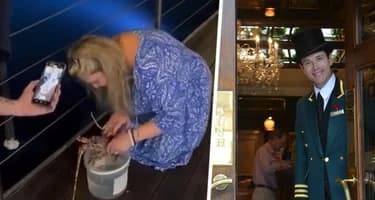 Туристка купила в ресторане за 20’600 рублей лобстера, погладила его и выпустила в море Туристка купила в ресторане за 20’600 рублей лобстера, погладила его и выпустила в море