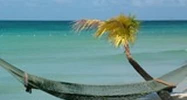 «Библио Глобус» совместно с «Трансаэро» открывают прямой рейс из Москвы на Ямайку «Библио Глобус» совместно с «Трансаэро» открывают прямой рейс из Москвы на Ямайку