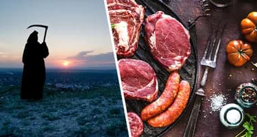 Некоторая еда уменьшает продолжительность жизни: профессор рассказал правду Некоторая еда уменьшает продолжительность жизни: профессор рассказал правду