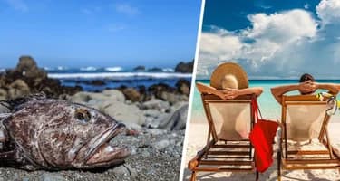 Рыбалка круглый год: стали известны семь лучших мест для рыбалки в России Рыбалка круглый год: стали известны семь лучших мест для рыбалки в России