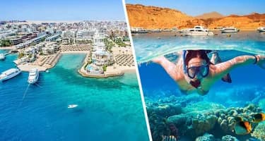 Туристы так и прут: еще одна страна на Красном море начнёт выполнять прямые рейсы в Россию Туристы так и прут: еще одна страна на Красном море начнёт выполнять прямые рейсы в Россию