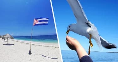 Прогулка по пляжам Варадеро: гармония и релакс на пляже Azul - место, где царит безмятежность Прогулка по пляжам Варадеро: гармония и релакс на пляже Azul - место, где царит безмятежность