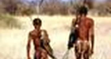 Правозащитники призвали туристов к бойкоту Ботсваны Правозащитники призвали туристов к бойкоту Ботсваны