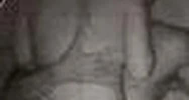 Туристы заплатят за проживание порнографией Туристы заплатят за проживание порнографией