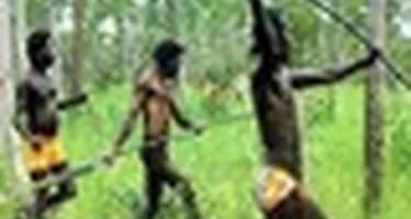 На туристов в Новой Гвинее напали аборигены с копьями На туристов в Новой Гвинее напали аборигены с копьями