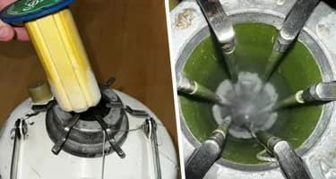 Турист арестован за контрабанду 5 литров собачьей спермы Турист арестован за контрабанду 5 литров собачьей спермы