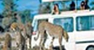 Прибыль турсектора Зимбабве увеличилась на 13% Прибыль турсектора Зимбабве увеличилась на 13%