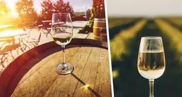 Армения станет центром мирового винного туризма в 2026 году Армения станет центром мирового винного туризма в 2026 году