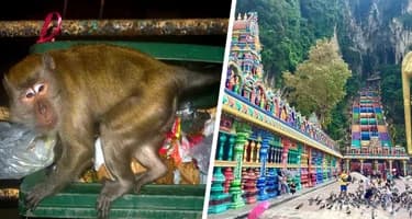 «Самая грязная туристическая достопримечательность в мире» — это захламлённое мусором место с ужасным запахом «Самая грязная туристическая достопримечательность в мире» — это захламлённое мусором место с ужасным запахом