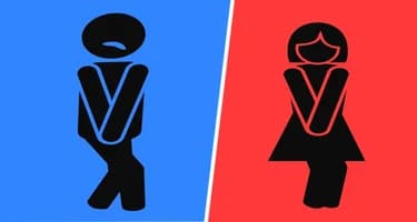 Туристам начали раздавать бесплатные пакеты для экскрементов, пытаясь научить какать по-правилам Туристам начали раздавать бесплатные пакеты для экскрементов, пытаясь научить какать по-правилам