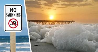 Шок и трепет туристов: таинственная пена заливает адриатические пляжи в Хорватии Шок и трепет туристов: таинственная пена заливает адриатические пляжи в Хорватии