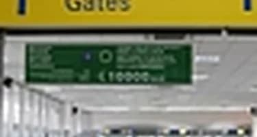 Российских туроператоров вынудили за свой счет вывезти застрявших в Болгарии туристов Российских туроператоров вынудили за свой счет вывезти застрявших в Болгарии туристов