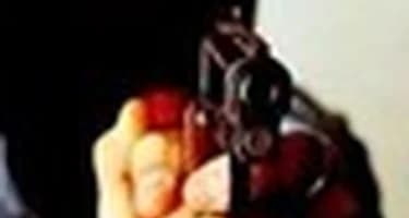 Жертвами нападений в Петербурге чаще всего становятся туристы из Германии, Китая и Финляндии Жертвами нападений в Петербурге чаще всего становятся туристы из Германии, Китая и Финляндии