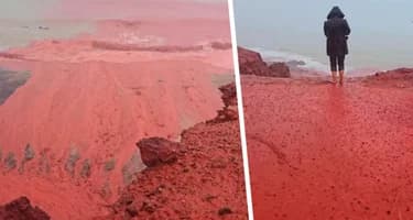 Кровавый дождь окрасил пляж в красный цвет, повергнув туристов в ужас. Что стоит за этим явлением? Кровавый дождь окрасил пляж в красный цвет, повергнув туристов в ужас. Что стоит за этим явлением?