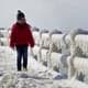 Черное море замерзло, морское сообщение на курортах приостановлено Черное море замерзло, морское сообщение на курортах приостановлено