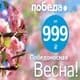 Рейсов «Победы» в Сочи за 999 рублей хватит на минимум туристов Рейсов «Победы» в Сочи за 999 рублей хватит на минимум туристов