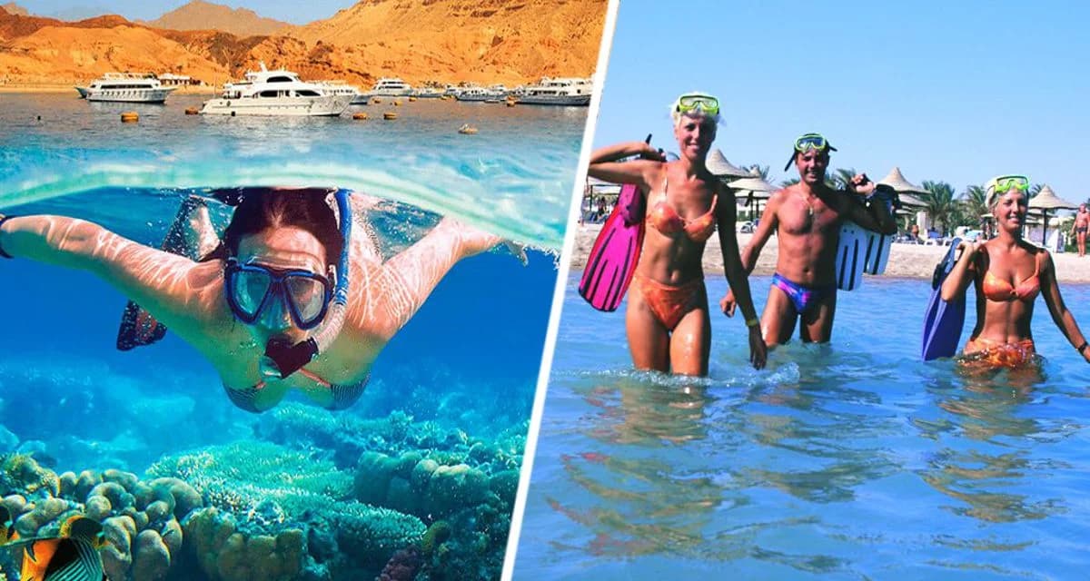 Названы самые дешевые направления пляжного отдыха на конец ноября для российских туристов Названы самые дешевые направления пляжного отдыха на конец ноября для российских туристов