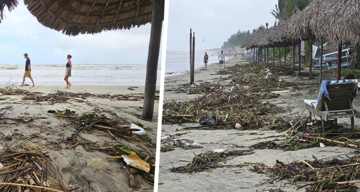 Популярный курорт Вьетнама затопило и засыпало мусором: туристам запрещено купание в море Популярный курорт Вьетнама затопило и засыпало мусором: туристам запрещено купание в море